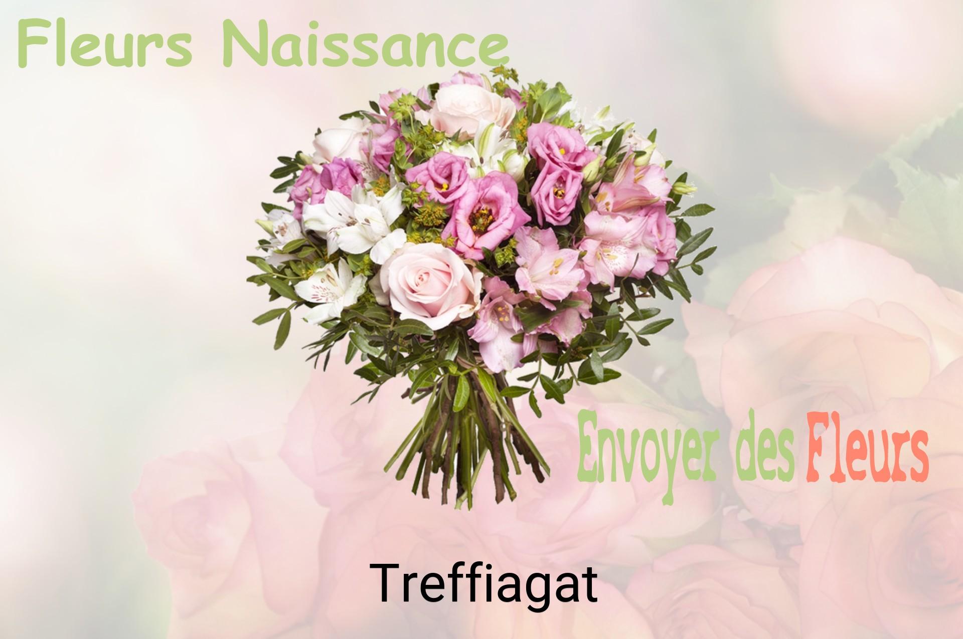 Bouquet de fleurs de naissance livré à Treffiagat