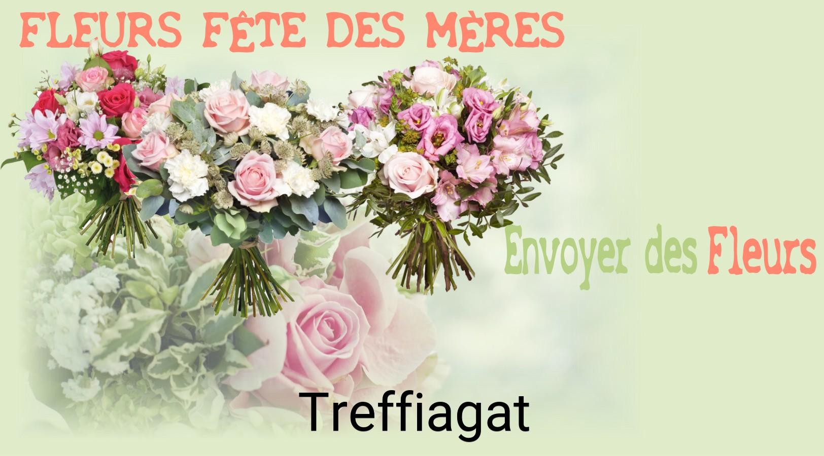 Bouquet de Fête des Mères livré à Treffiagat